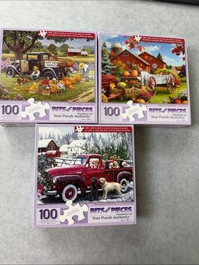 3 - 100 Bits and Pieces Jigsaw Puzzles